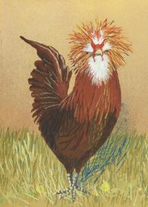 Bearded Bufface Rooster