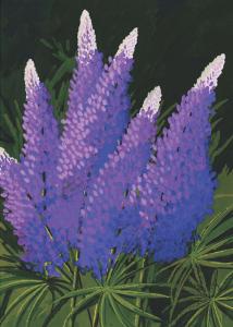 Lupines Flower